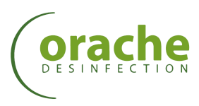 Orache